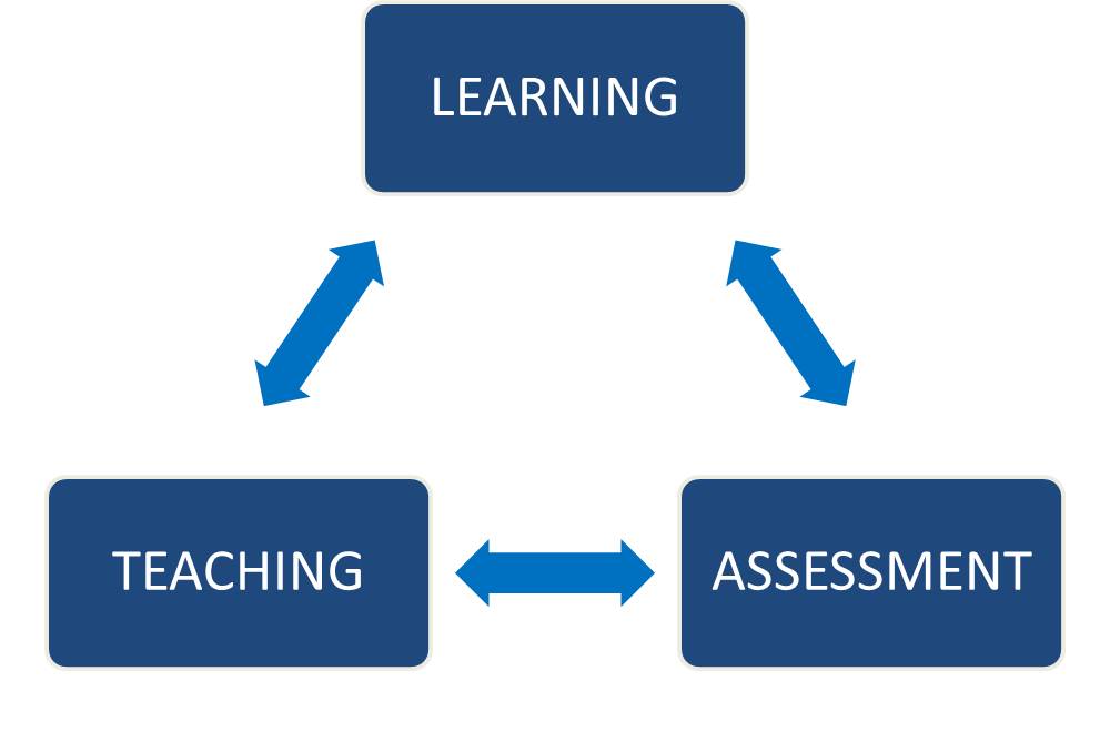 Prime university-teaching assistant